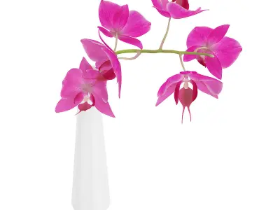 Orchid Flower in White Vase 3D model