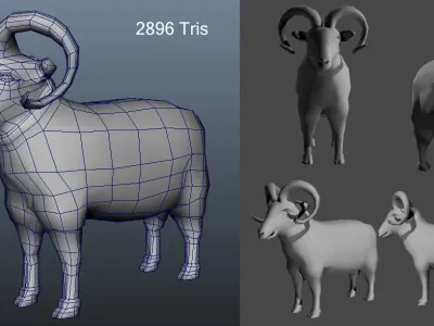 Male Female Sheep AAA Low-poly 3D model