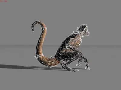 Monkey Thin Animal Low-poly 3D model