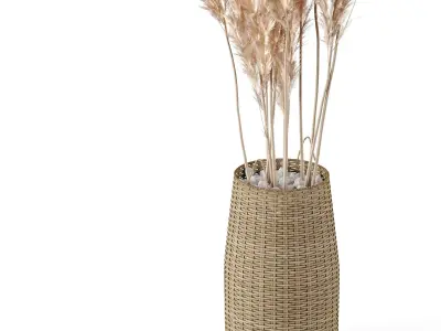 Pampas Decoration with Natural basket 3D model