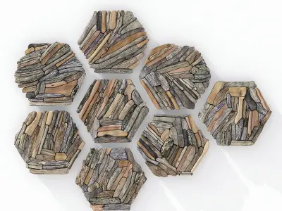 Hexagon panel branch splinter n1 3D model