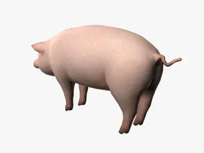 Pig Model Low-poly 3D model