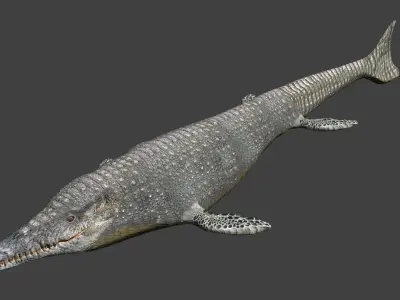 Mosasaurus Low-poly 3D model