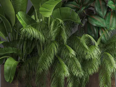 Decorative plants for outdoor and interior in metal pots 1057 3D model