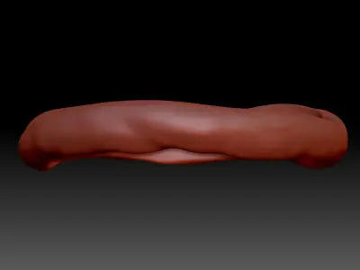 Ring shape 3D print model