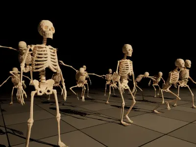 Skeleton low-poly stylized Low-poly 3D model
