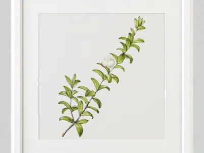 Paintings with flowers 3D model