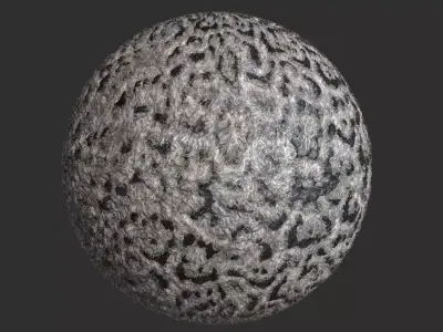 Snow leopard Fur Pbr 4k Texture 3D model