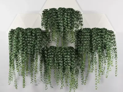 Hexagonal Honeycomb Succulent Wall Planter 3D model