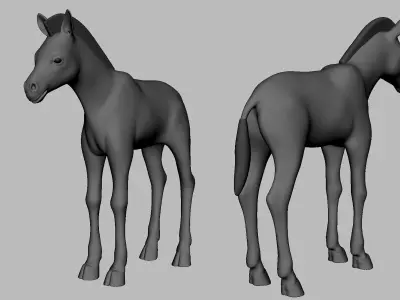 Baby Zebra Low-poly 3D model