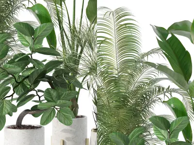 Plants collection 120 3D model