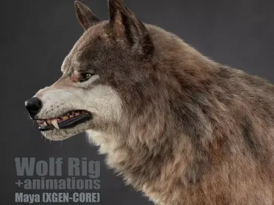 Wolf XGEN CORE ANIMATED 3D model