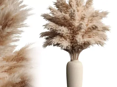 Pampas in pot 3D model