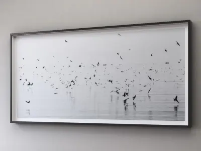 RH NATHAN DEHART UGANDA BIRDS 3D model