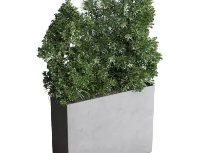  indoor plant ficus lyrata monstera palm in a wooden 3D model