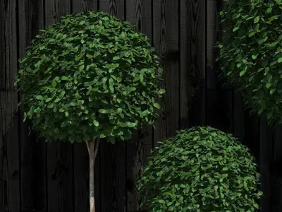 Plants collection 16 3D model purchase