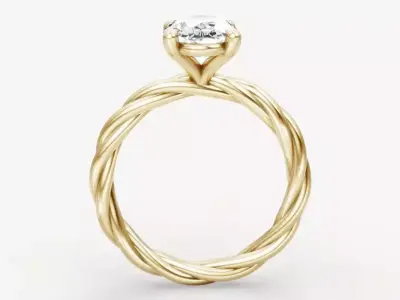 Oval twist  ring 3D print model