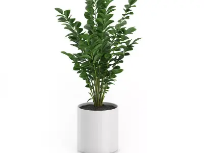 Plant in Round Pot 3D model
