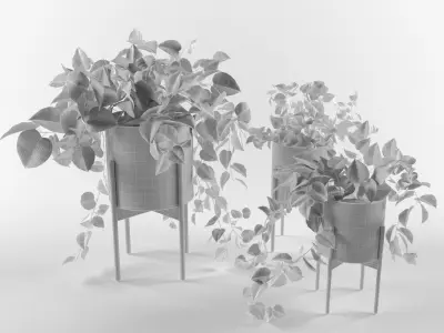plants-02 potted plant 3D model