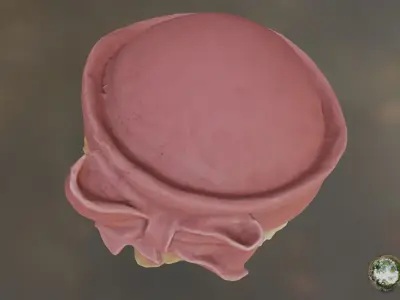 CapOwl 02 3D model