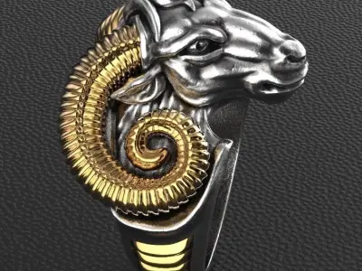 Aries ring 3D print model
