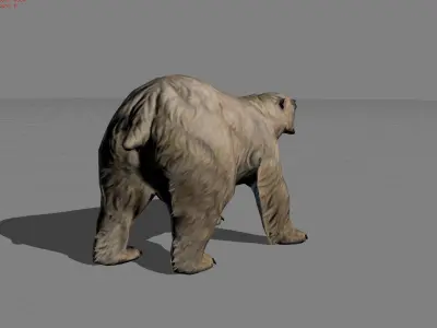 Polar Bear Animal Low-poly 3D model