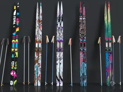 Ski and Ski Pole 3D model