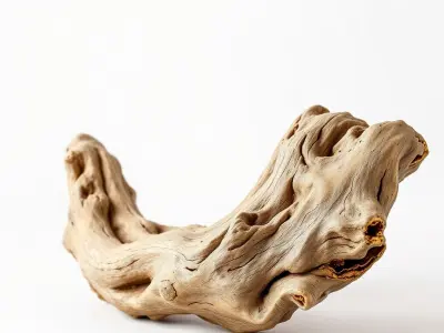 Driftwood Gold Accents Sculpture model pack Low-poly 3D model