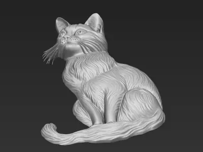 A Sitting Cat A54 3D print model
