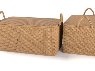 Wicker Box 3D model