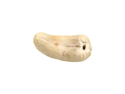 Photorealistic Cashew Nut 3D Scan 3D model