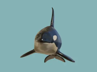 Killer whale Low-poly 3D model