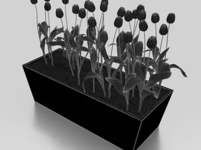 Flowers plants box - Low-poly vegetation model Low-poly 3D model