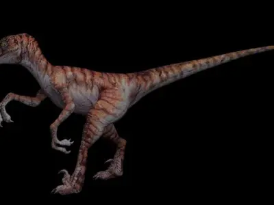 Jurassic Park Raptor Velociraptor 3D model Blender Low 3D model