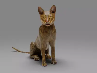 Cat Grey Rigged and Animated Low-poly 3D model