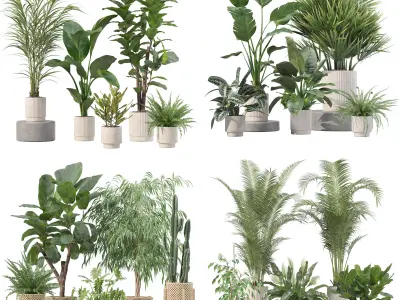 20 Photorealistic Flowers for Interiors - set 204 207 213 219 3D Model Collection