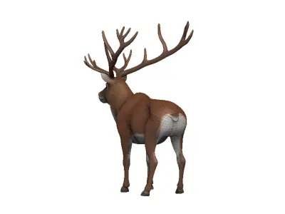 Caribou Low-poly 3D model