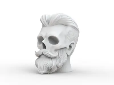 Stylized Skull with Beard and Hair 3D print model
