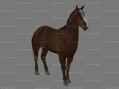 Horse Animated 3D model