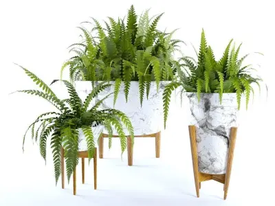 plant collection set 02