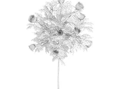 White Rose Tree 3D model