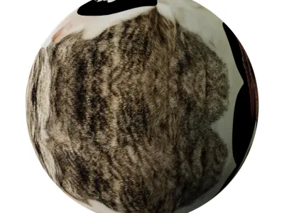 Hungarian Greyhound Magyar AgaR Dog Low-poly 3D model