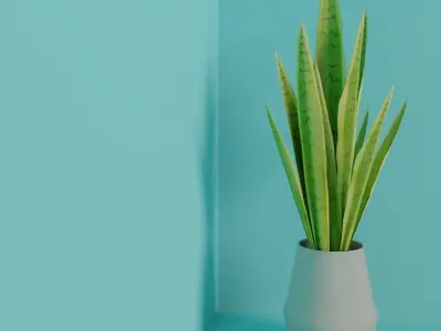 Interior Plant - Sansevieira Low-poly 3D model