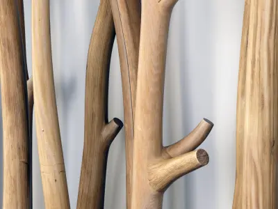 Branch old screen n1 3D model