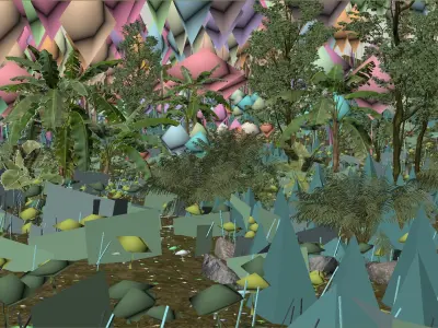  Rainforest Collection 