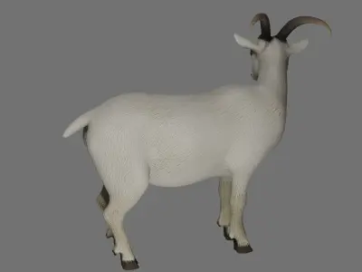 Wild Goat 3D model