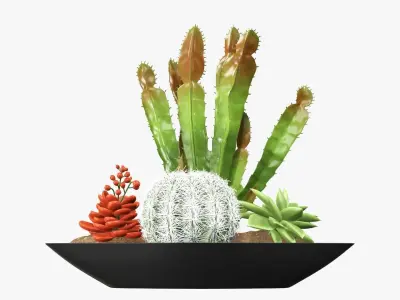 Plant composition decorative 01 3D model