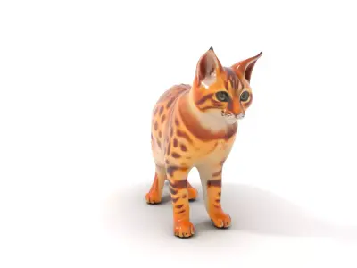 Spotted Bengal Cat model pack Low-poly 3D model