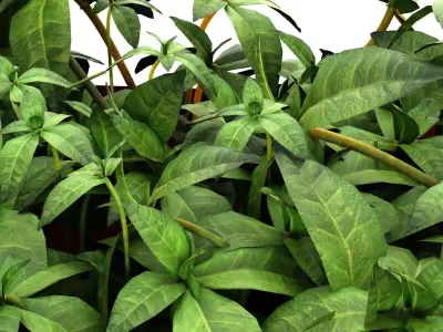 Plant Pot Decor 3D model