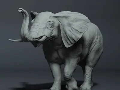 Realistic Elephant High-poly 3D model